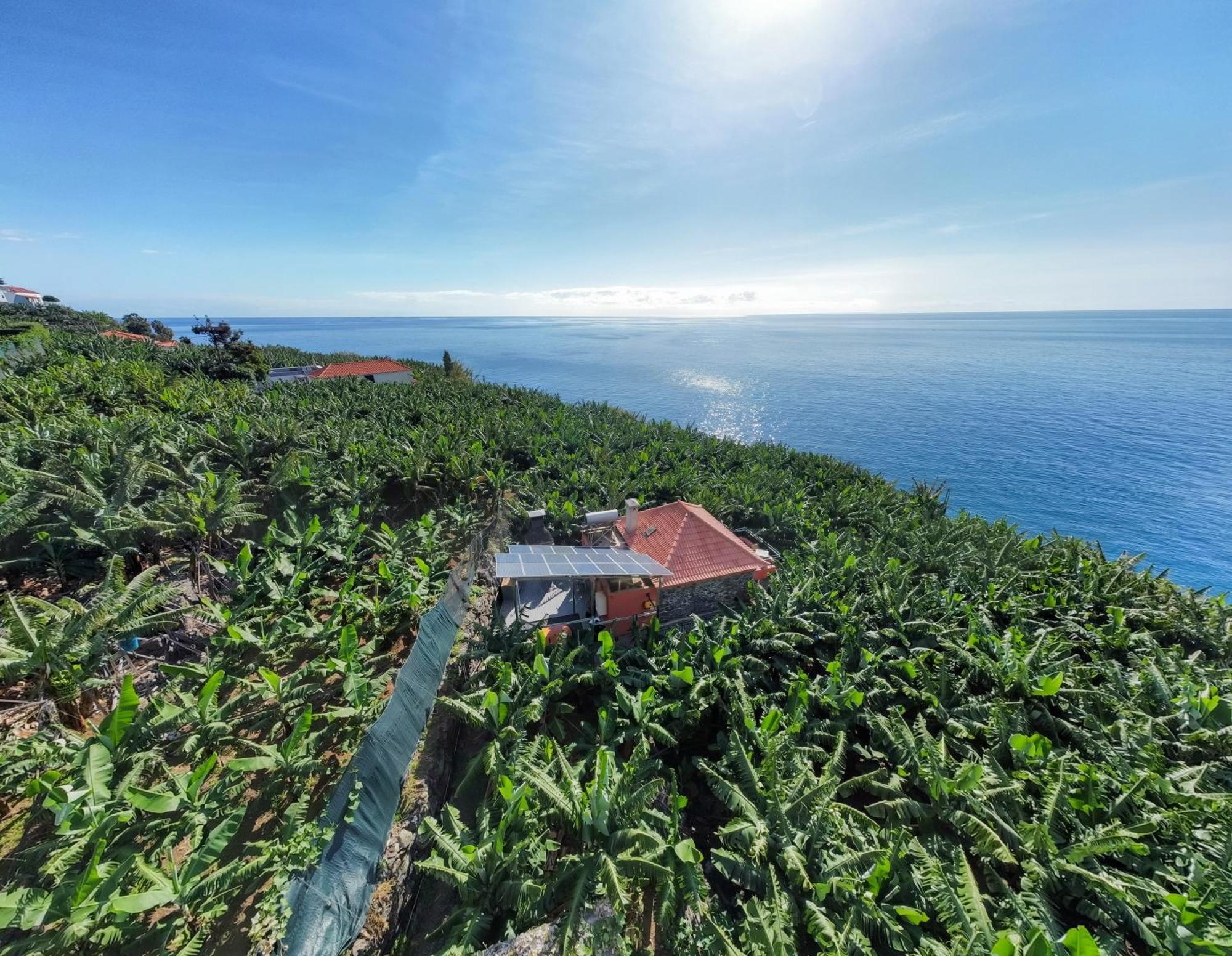 Willa Casa Dos Anjos Ponta do Sol  Zewnętrze zdjęcie