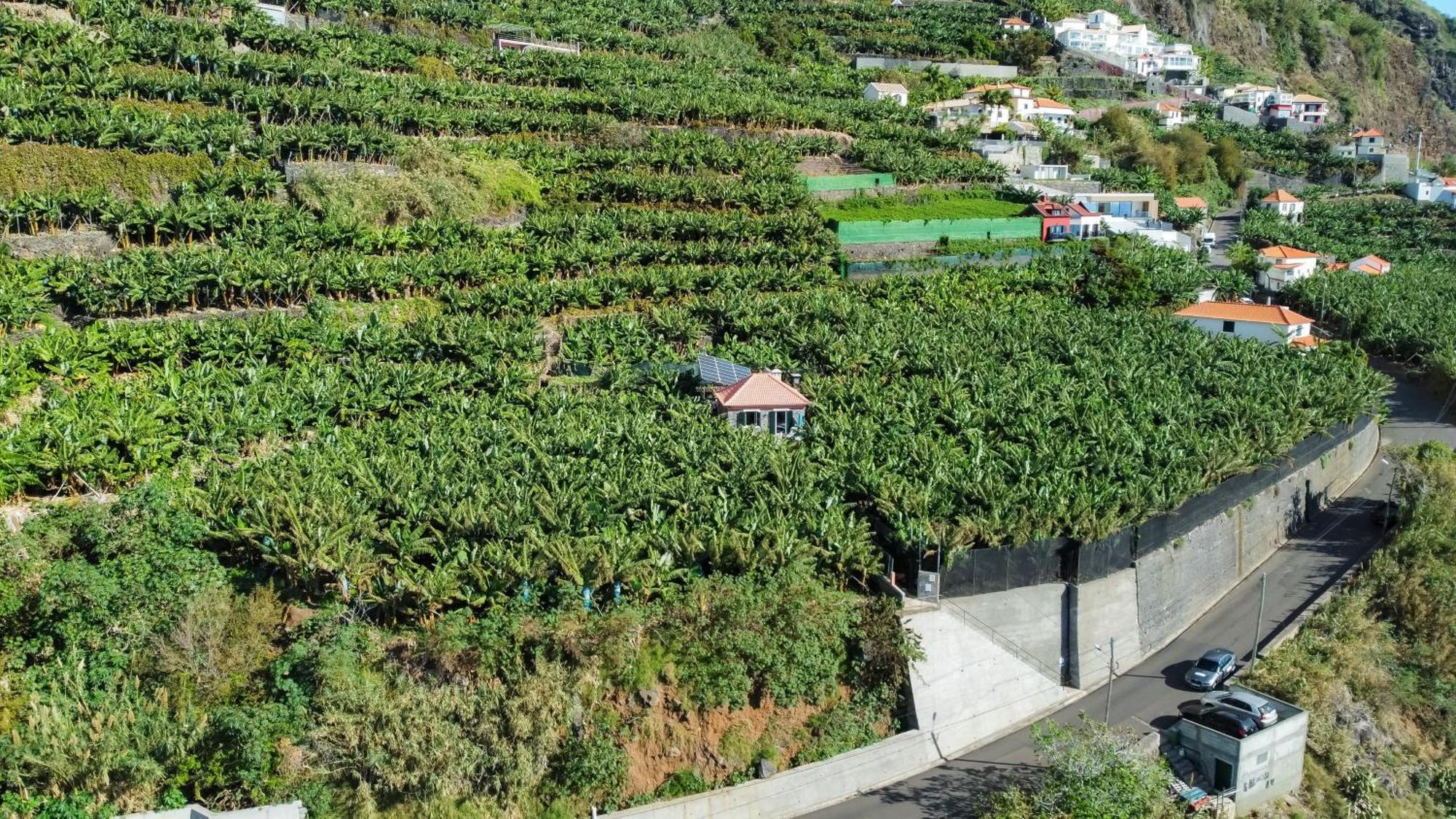 Willa Casa Dos Anjos Ponta do Sol  Zewnętrze zdjęcie