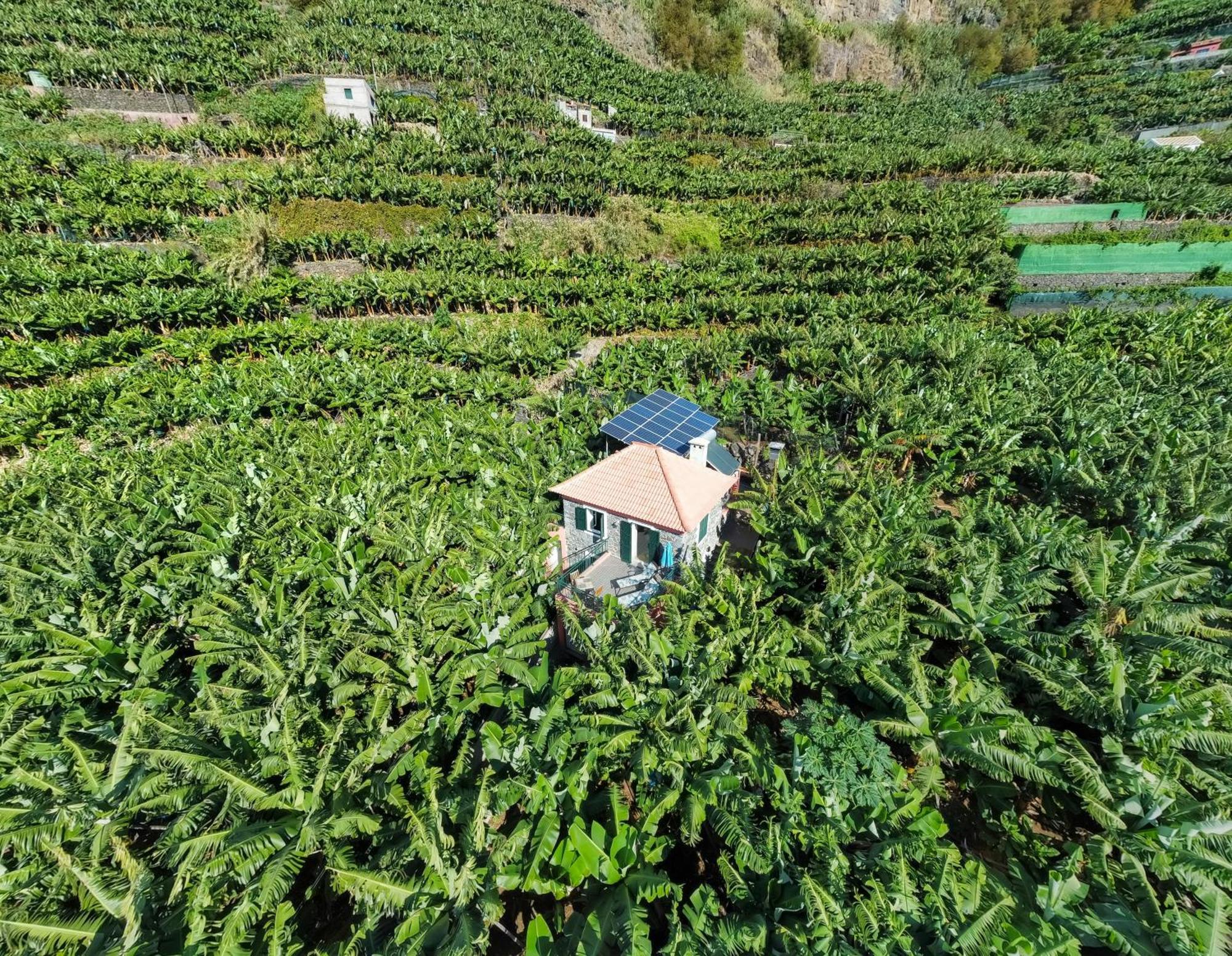 Willa Casa Dos Anjos Ponta do Sol  Zewnętrze zdjęcie